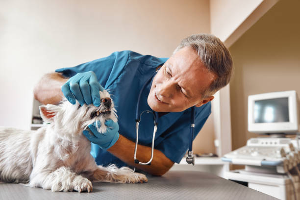 Best Emergency Tooth Extraction  in Breaux Bridge, LA