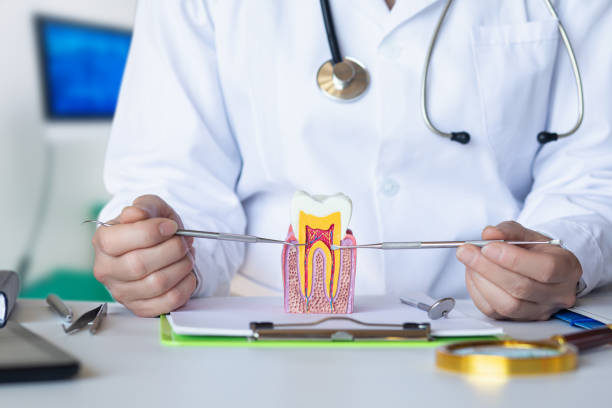 Best Knocked-Out Tooth Emergency  in Breaux Bridge, LA
